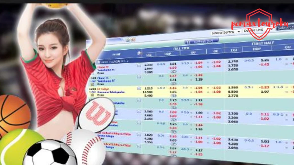 Tips Menang Judi Bola: Strategi Cerdas untuk Hasil Lebih Optimal