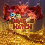 Dragon Hatch