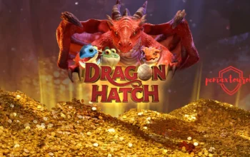 Dragon Hatch