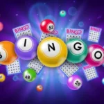 Bingo Betting